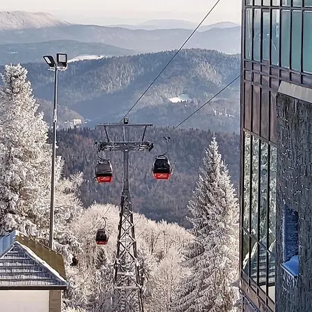 Rent Krynica Zdroj