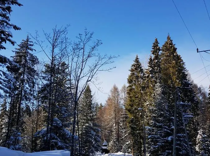 Rent Apartamento Krynica-Zdrój